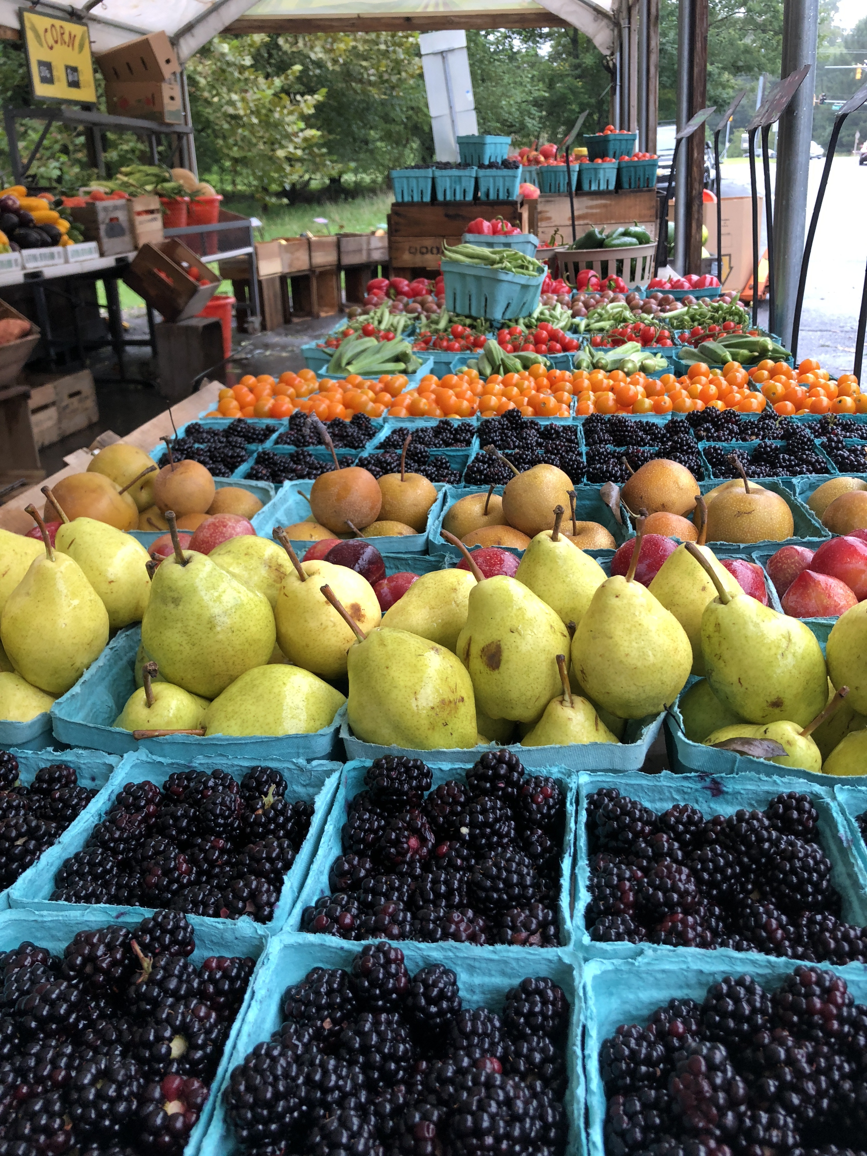 blackberry bistro oakland on Norman S Farm Market Adopt A Row Indiegogo