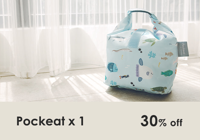 pockeat lunch bag