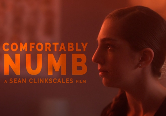 Comfortably Numb Indiegogo