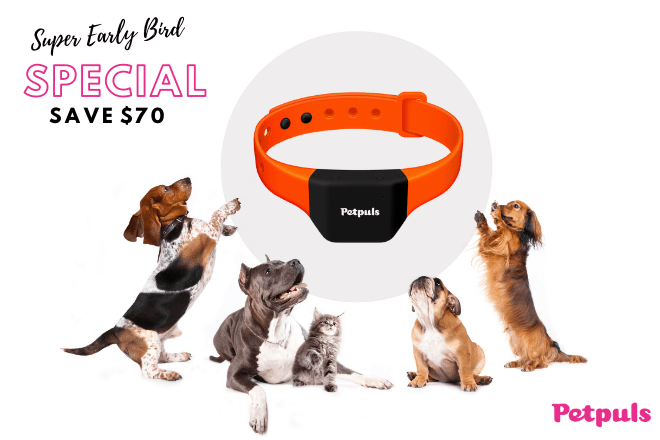 Petpuls Smart Collar: Give Your Dog A 'Voice' | Indiegogo