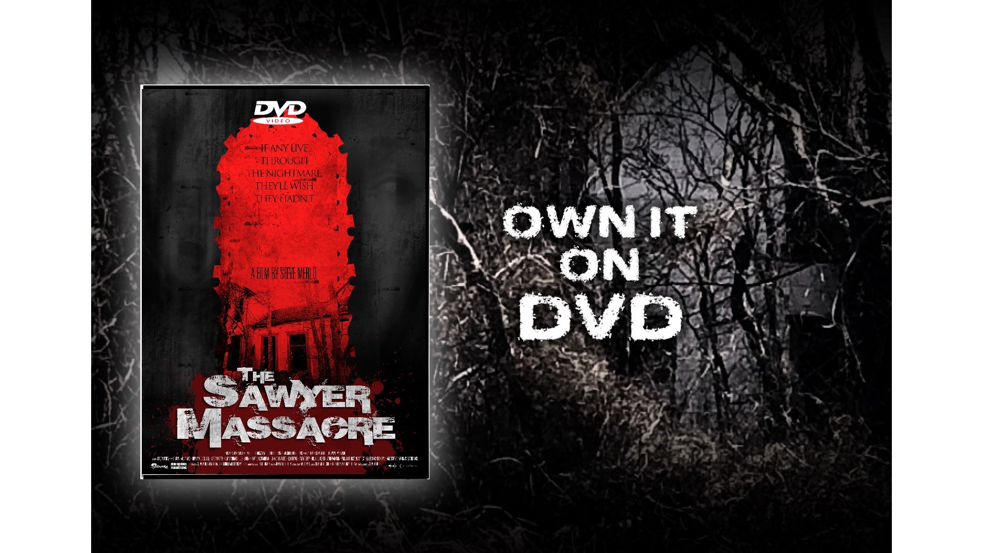 Alive Deep in the Heart of Texas DVD 限定価格セール Alive Deep in the Heart of Texas DVD 限定価格セール